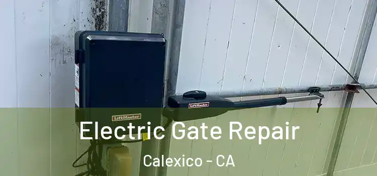 Electric Gate Repair Calexico - CA